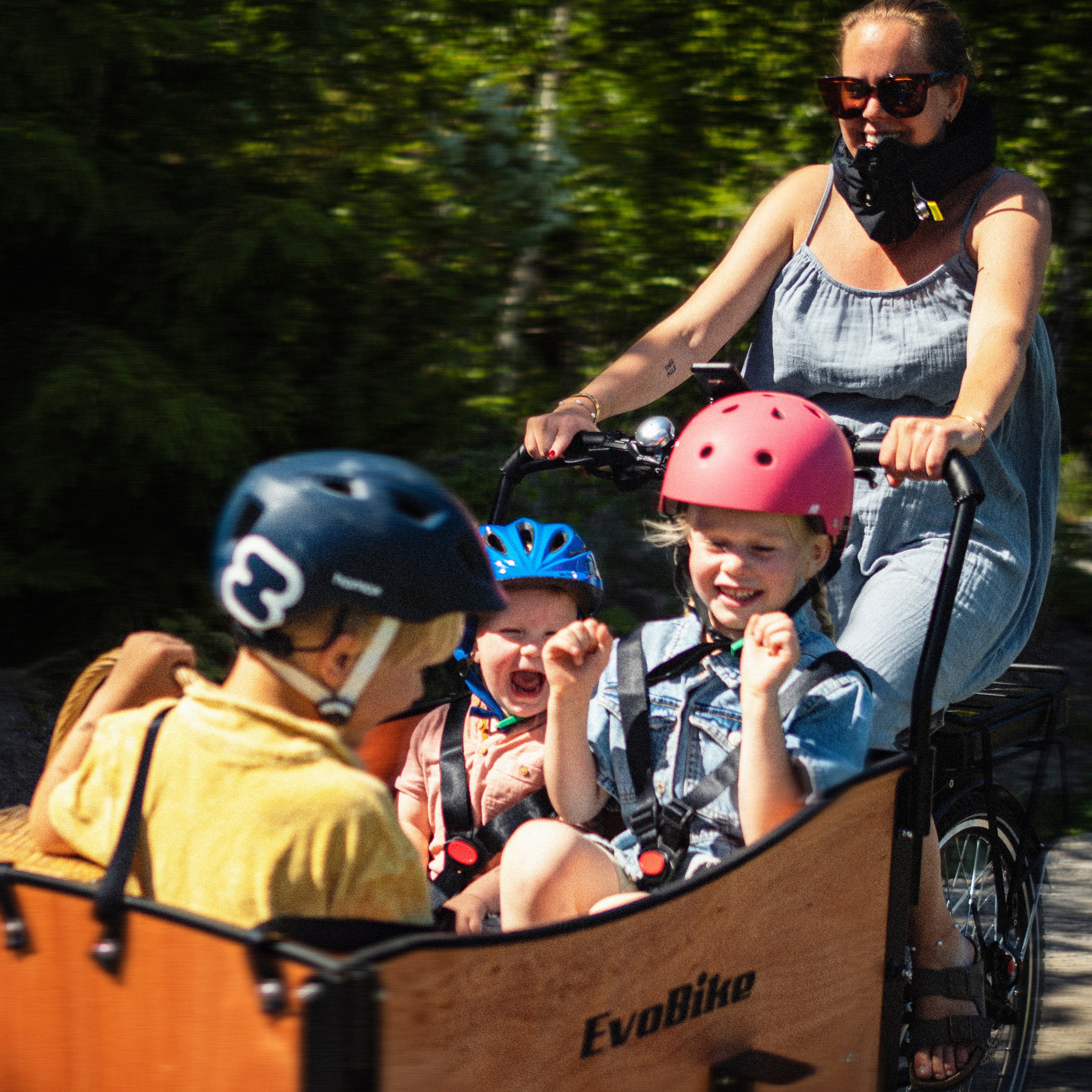 Ladcykel Evobike Cargo Classic